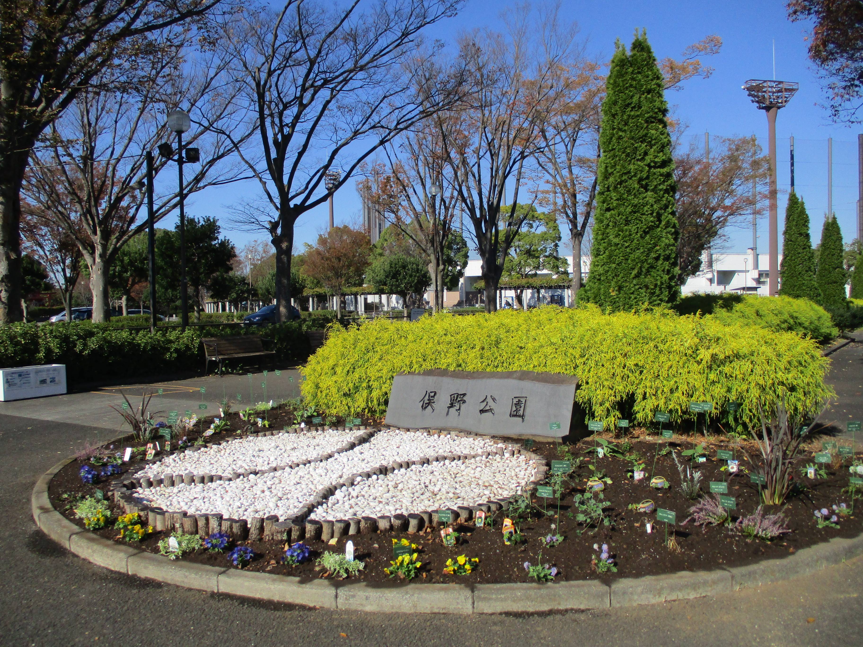 ベースボール花壇の写真