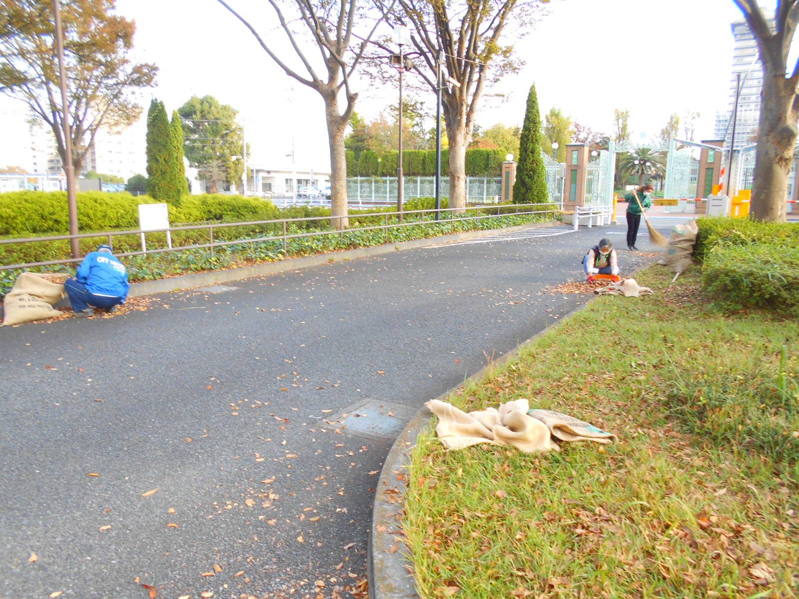 落ち葉ボランティア🍂の写真