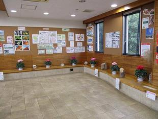 🎁シクラメン🎁