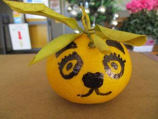 最後の夏ミカン