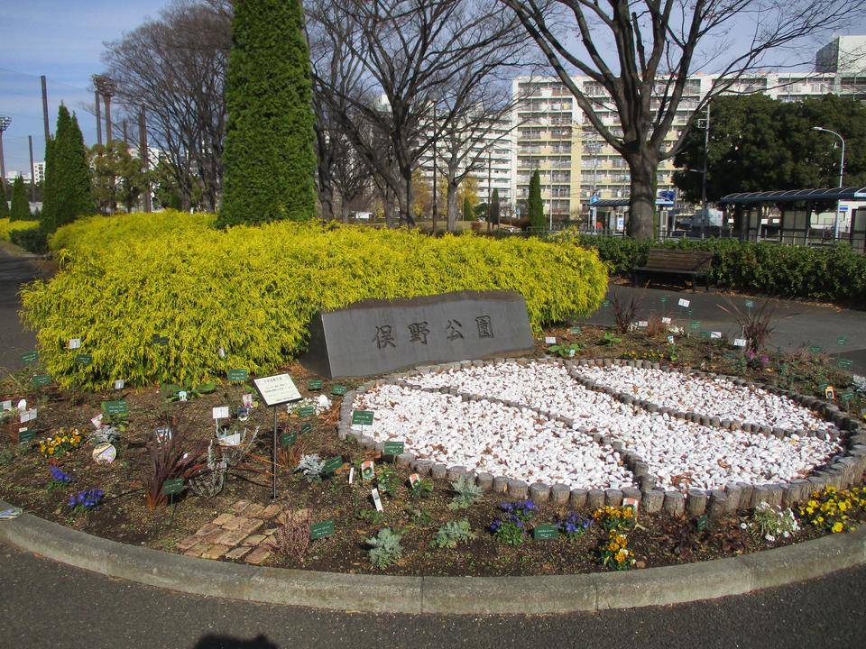 市民協働花壇の写真
