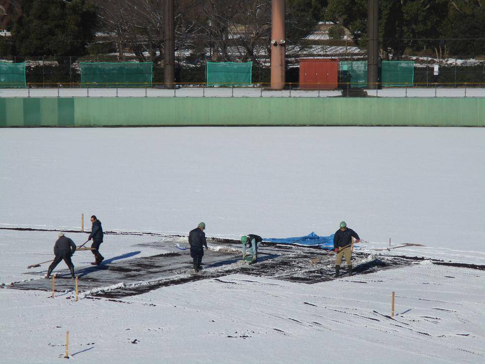 雪との闘い!の写真