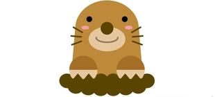 これなんですか？