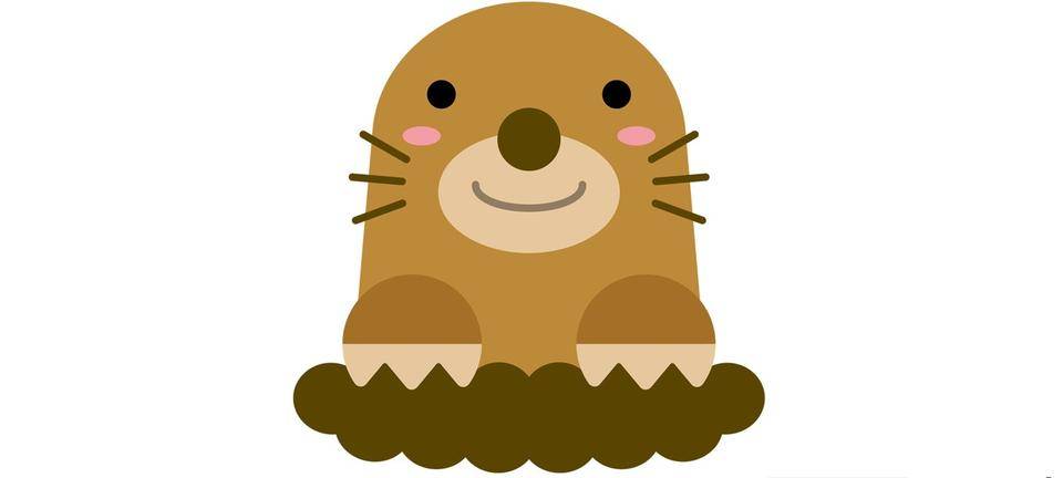 これなんですか?の写真
