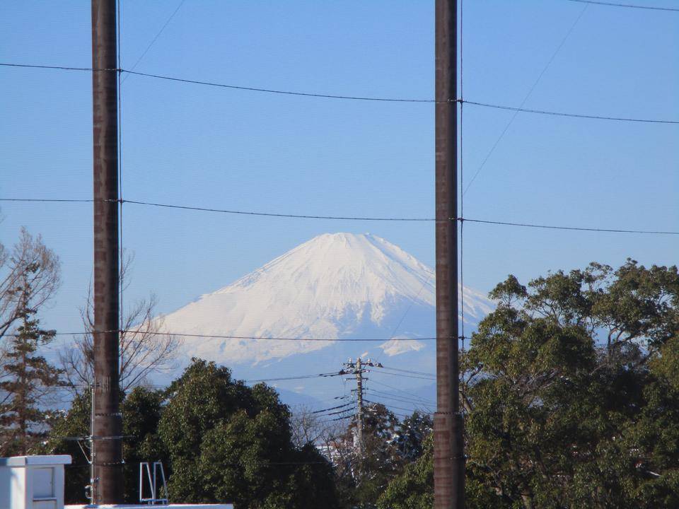 1月14日 富士山の写真