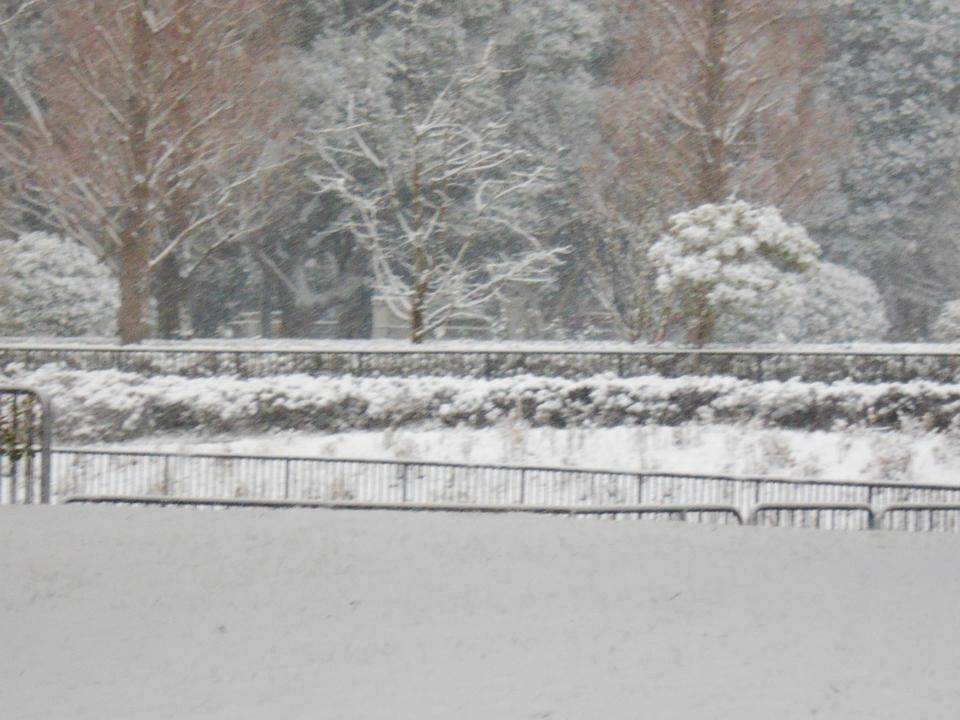 ⛄ゆき⛄雪⛄ゆき⛄の写真