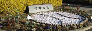 ベースボール花壇 2022.2