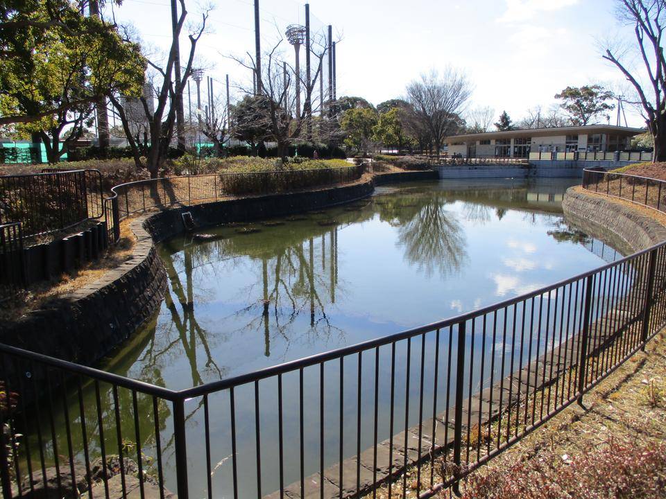 池情報 2022.2.13の写真