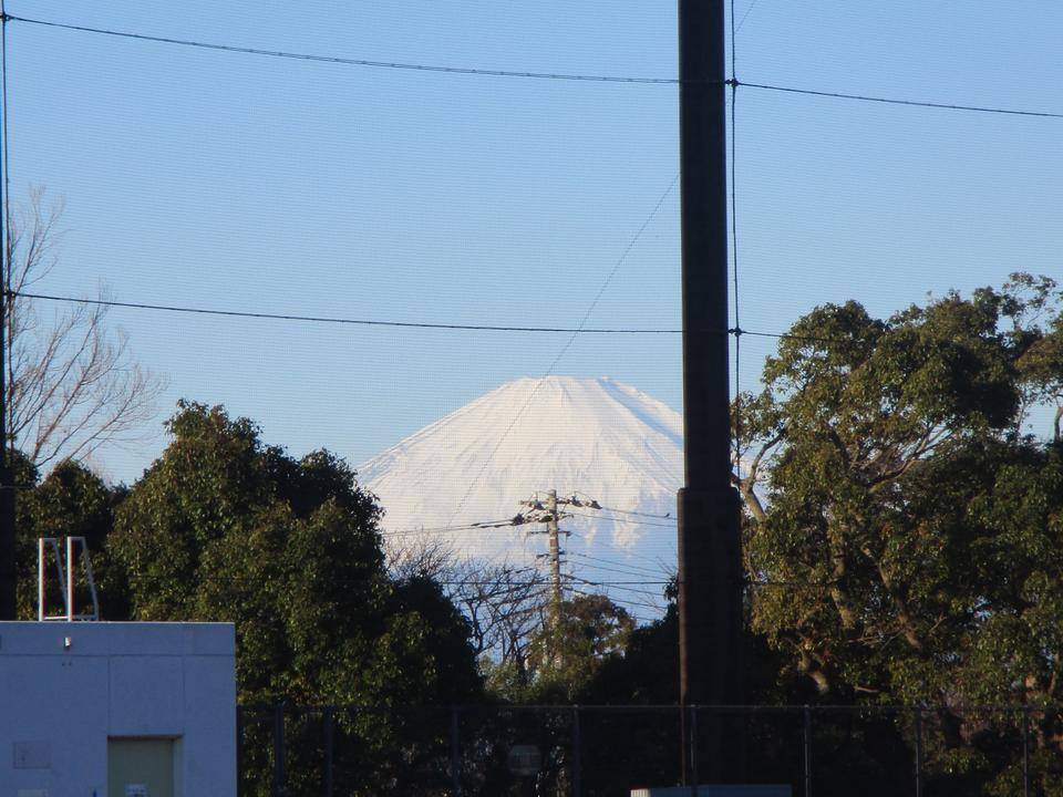 🗻春ヴァージョンの写真
