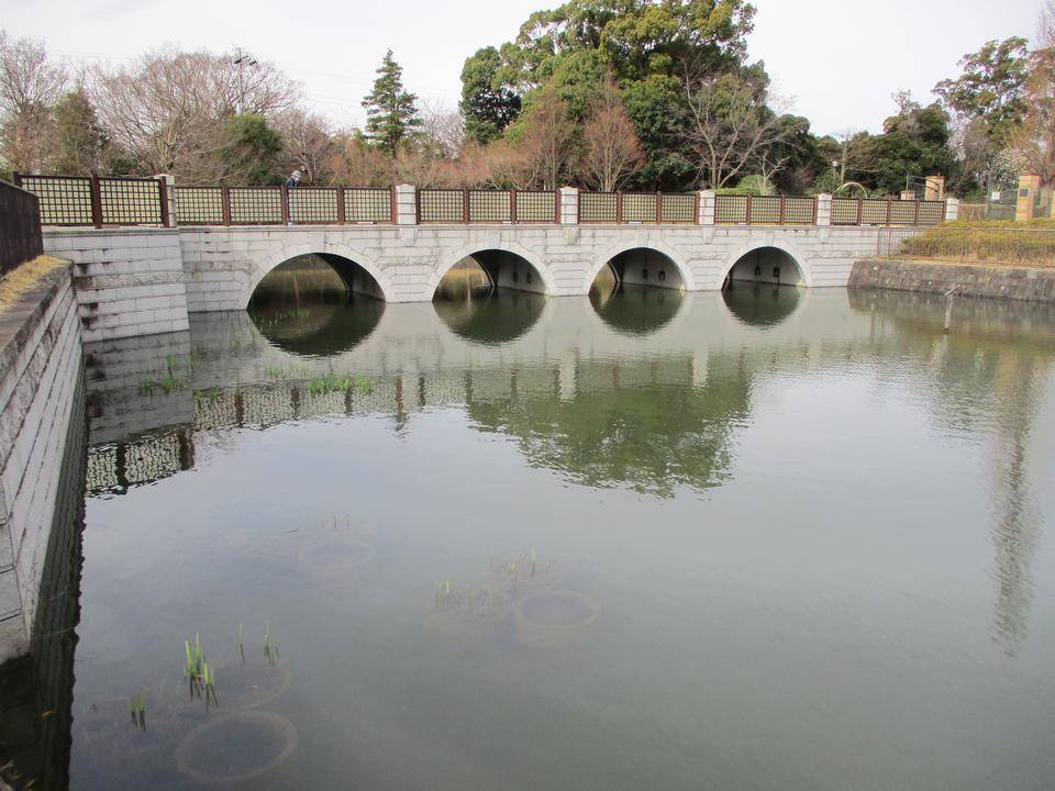 池情報　池にも春がの写真