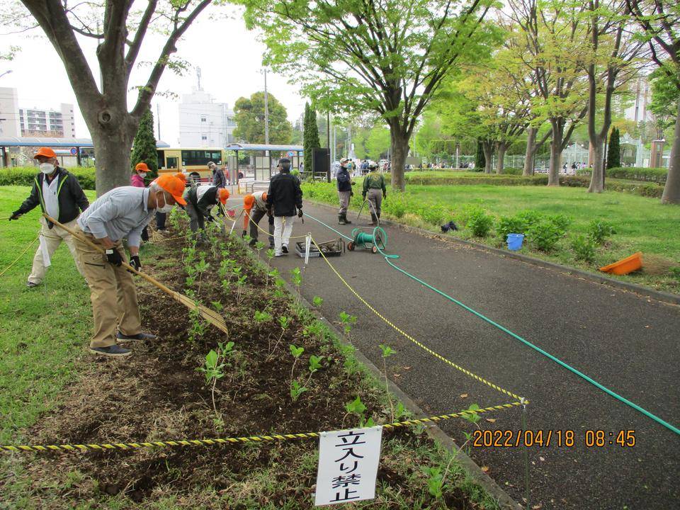 あじさいの植樹の写真