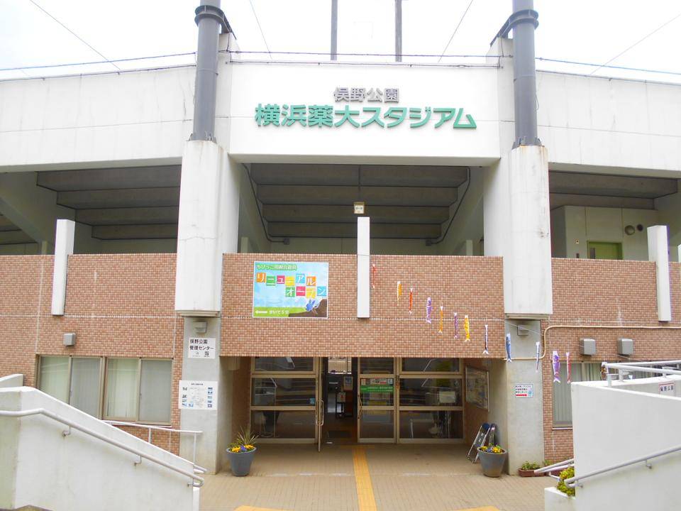 端午の節句の写真