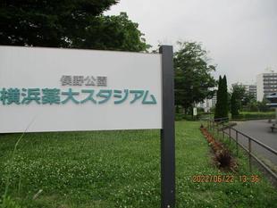 夏花壇【令和４年６月27日】