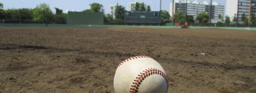俣野公園だより (令和4年7月 第7号)の写真
