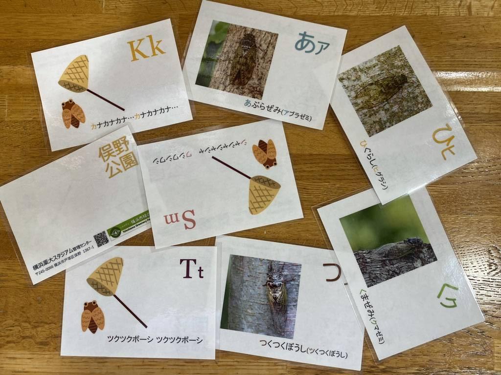 夏休み🐝自由研究のお手伝いの写真