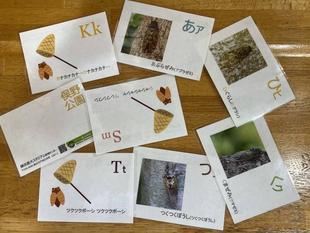 夏休み🐝自由研究のお手伝い