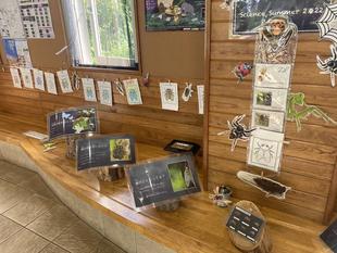 ぬりえの作品展