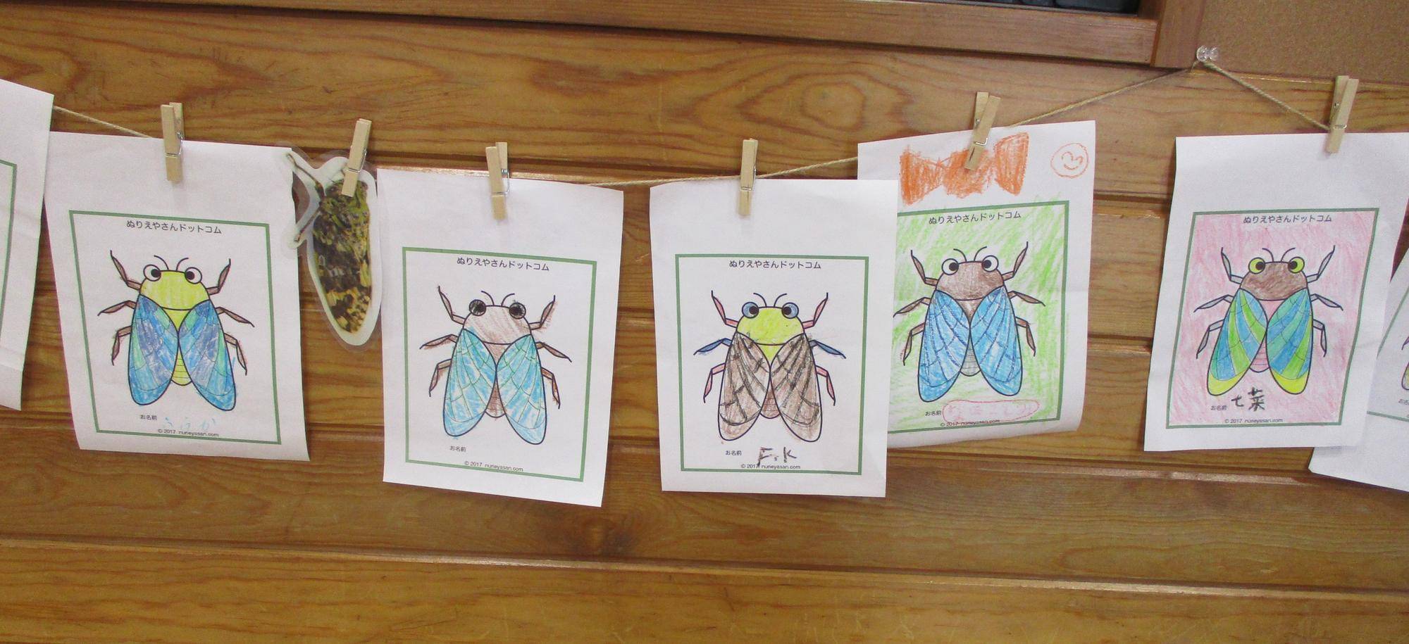 セミの塗り絵大会の写真