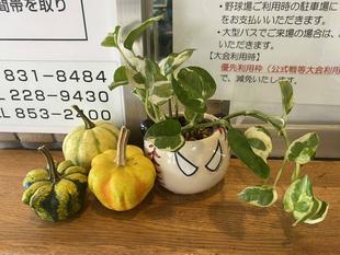 エントランスのハロウィン🎃