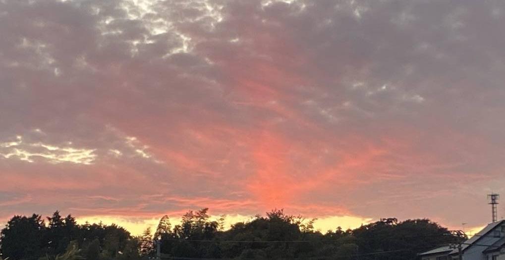 ヒトデ雲☆の写真