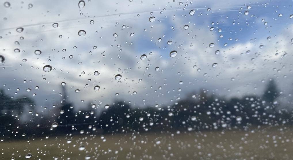 ハトと野球部と水滴と...の写真