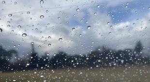 ハトと野球部と水滴と...