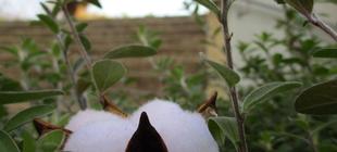 続🎄クリスマスの飾りつけ