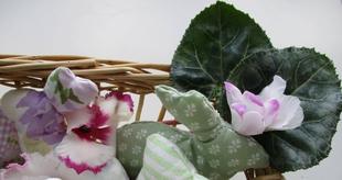 ひなまつり🐇準備中