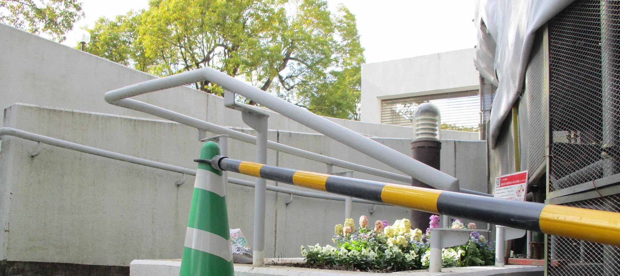 お姫さま達の日光浴🌺の写真