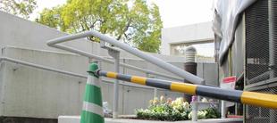 お姫さま達の日光浴🌺