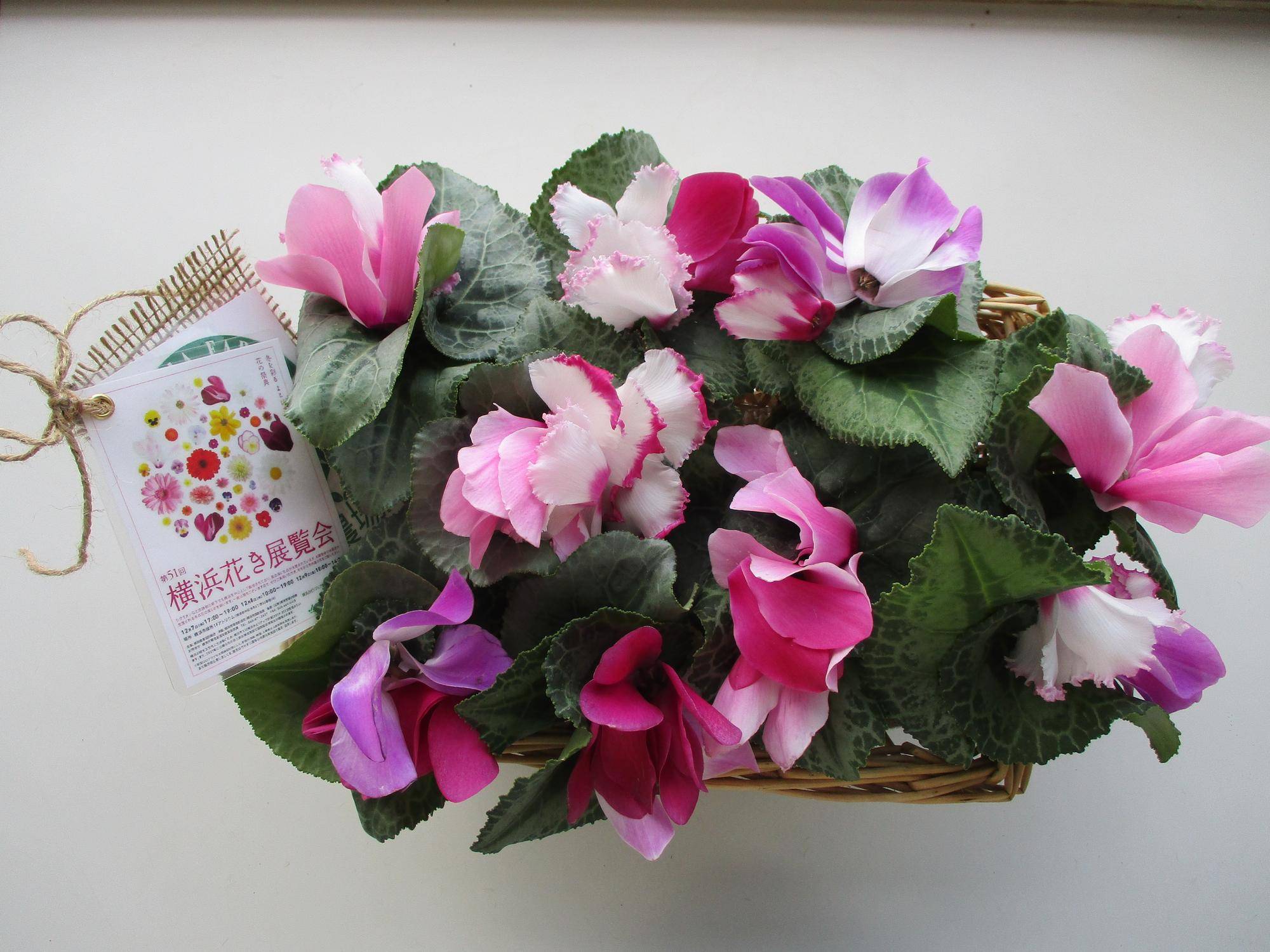 ミニブーケのおかわり💐の写真