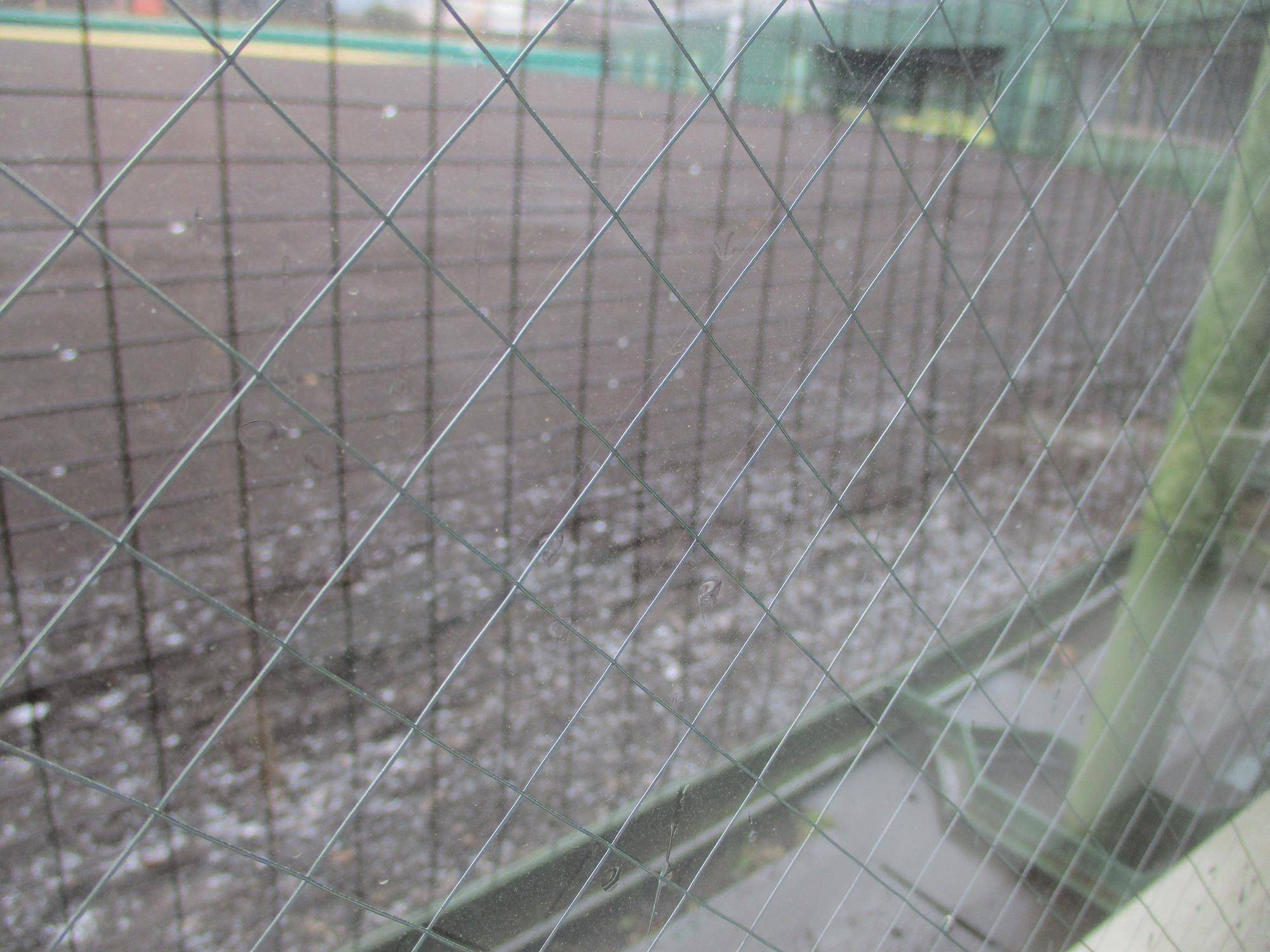 2月10日（金）❆雪予報❆の写真