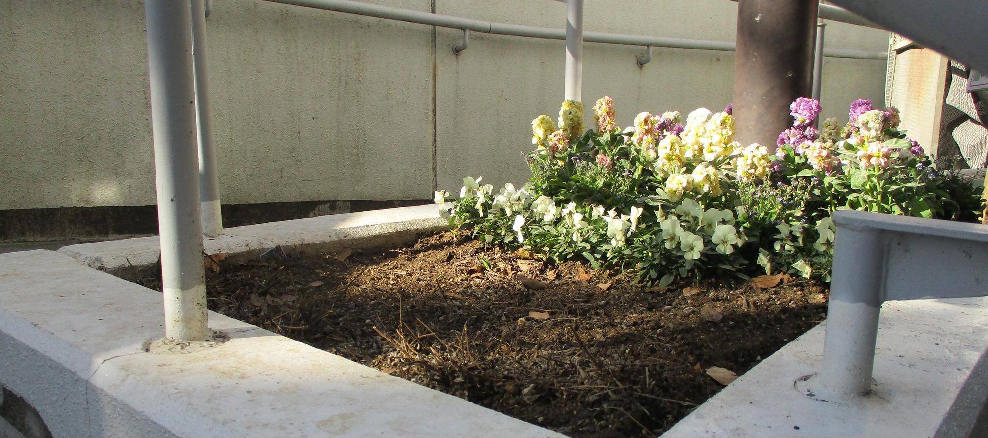 高圧洗浄でキレイに☆の写真