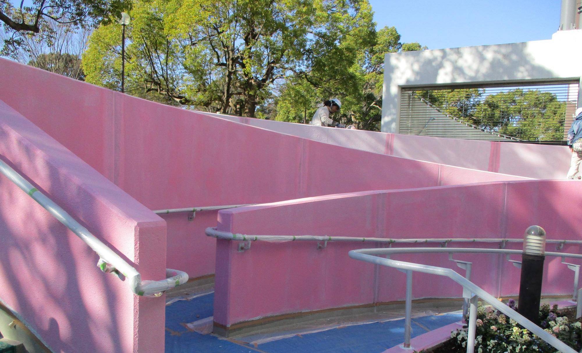 3月3日(金)桃色の効果🌺の写真