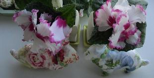 ３月３日(金)🌸桃の節句🎏端午の節句