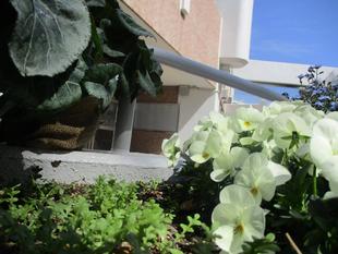 すっかり春ですね。。。