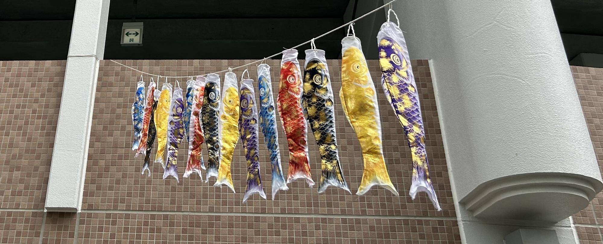 俣野公園のこいのぼり🎏の写真