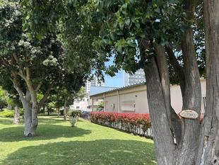 動物のえさになる植物🍃