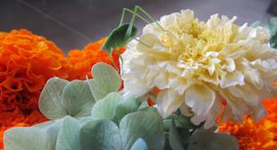 俣野公園のベビーちゃんたち♡