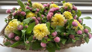 ミニブーケのお裾分け💐