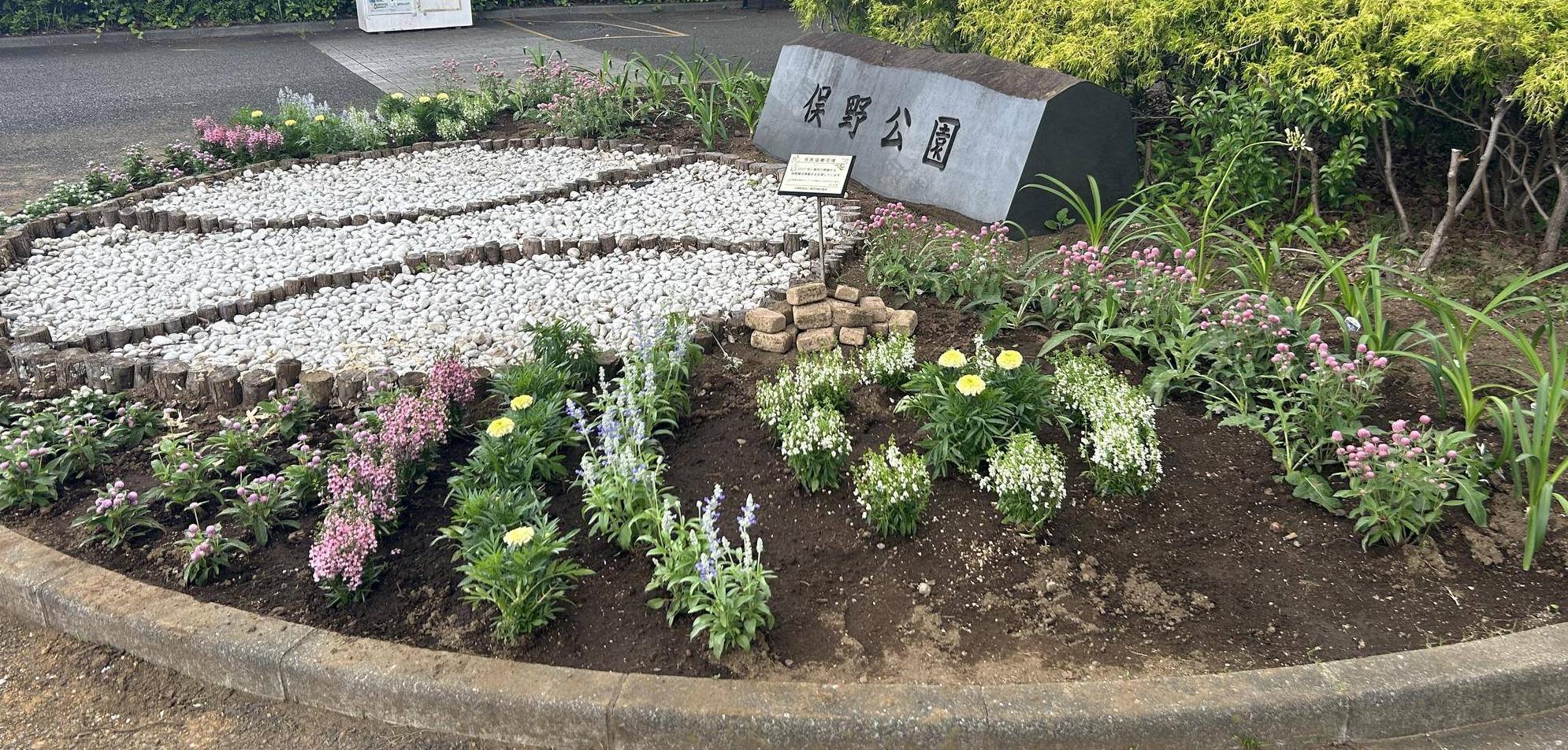夏の高校野球に向けて🌺の写真