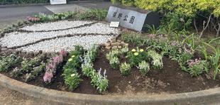 夏の高校野球に向けて🌺