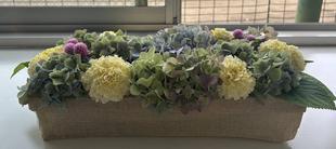 夏の高校野球に向けて球場内もおもてなし🌺