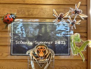 夏休み🐞自由研究のお手伝い