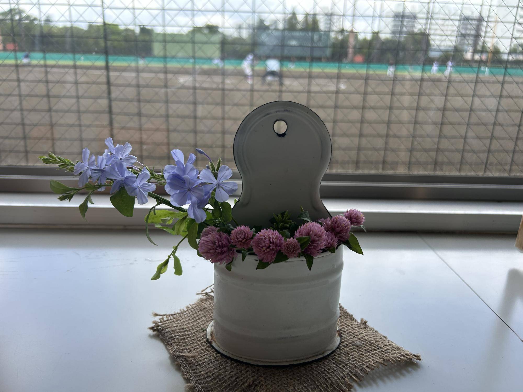 ルリマツリのお花の写真