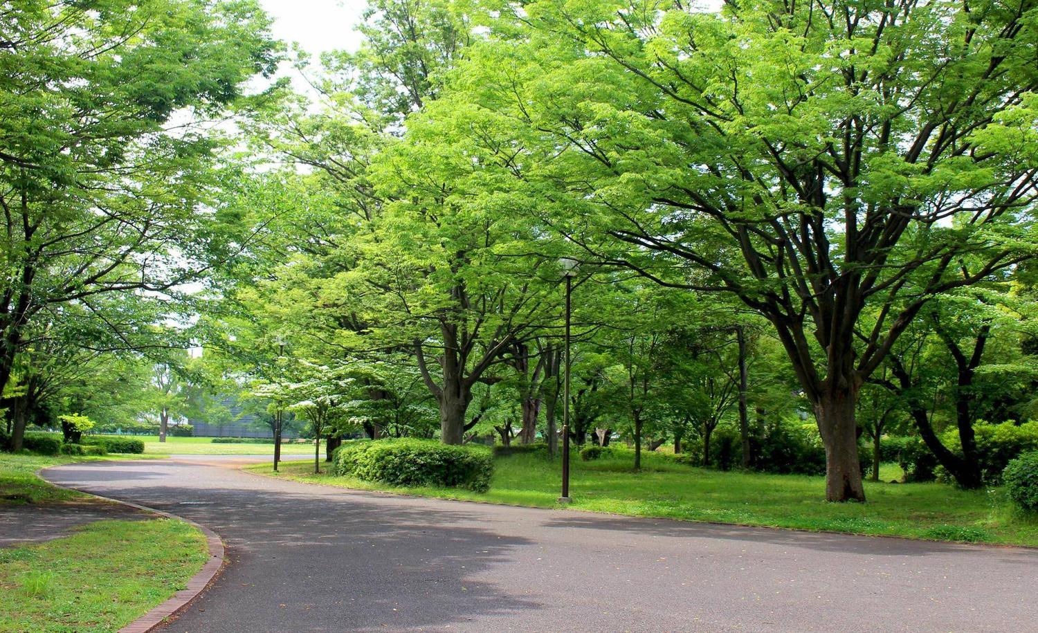 俣野公園トップ画像3