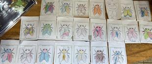 塗り絵コーナー🐞2023