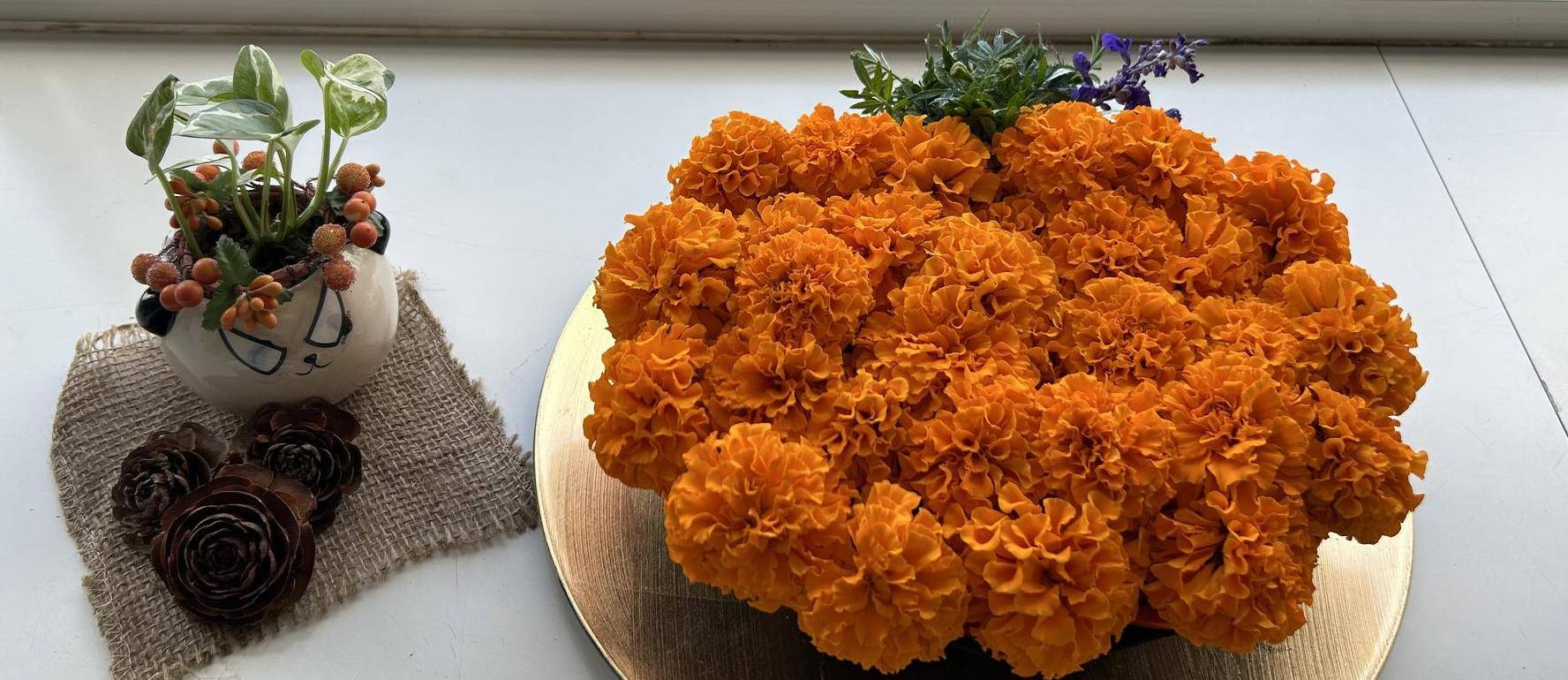 ②野球場のハロウィン🎃🦇👻の写真