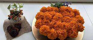 ②野球場のハロウィン🎃🦇👻