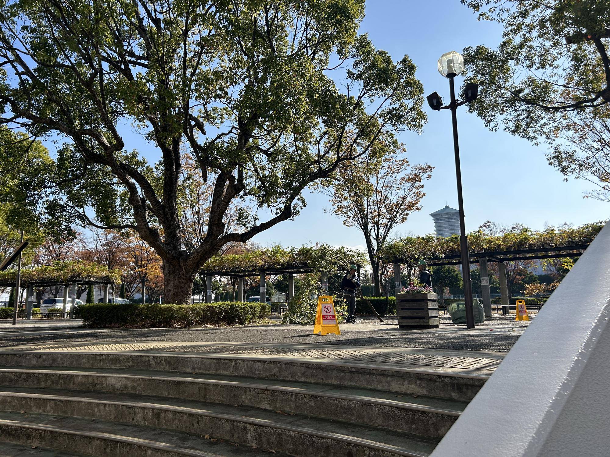 支障枝の剪定作業🌳の写真